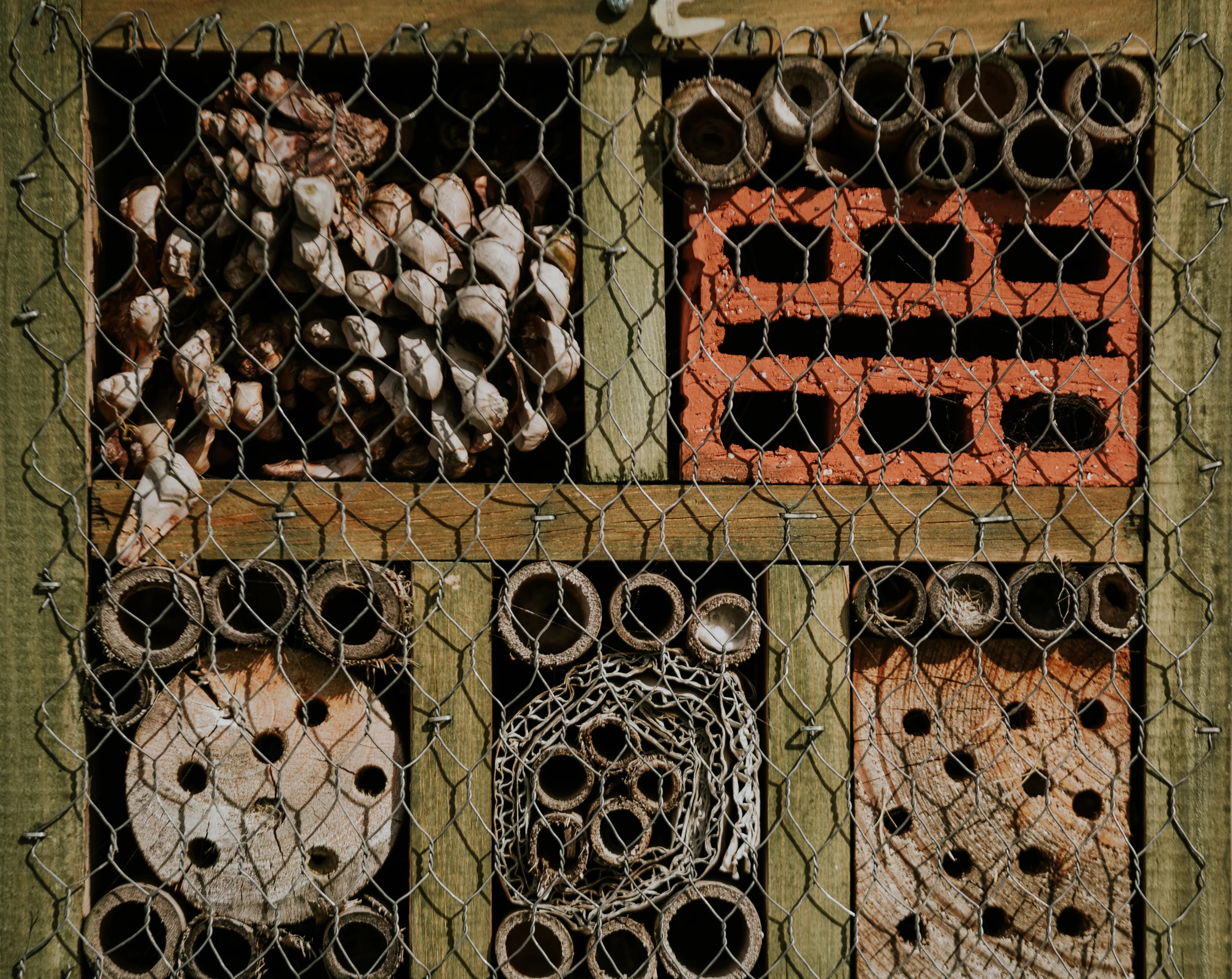 Hotel de insectos