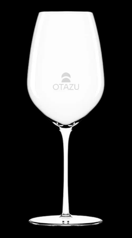 Copa Otazu