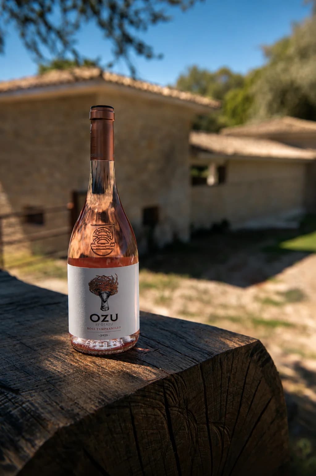 Rosé Tempranillo 2025