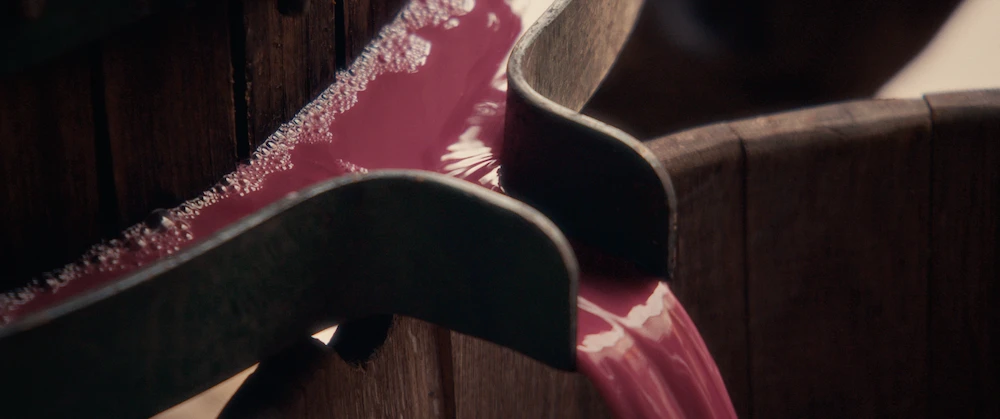 Primer vino, nueva bodega y viticultura pionera